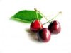 Cherries - Preview
